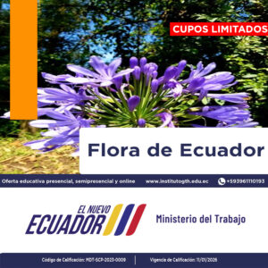 flora del Ecuador 3